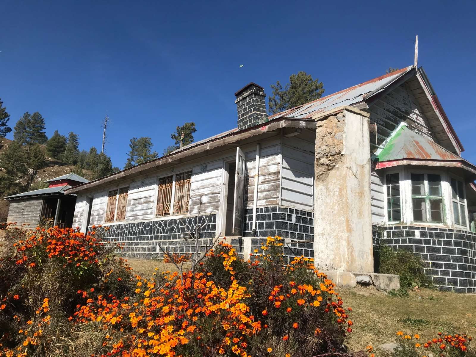 Sattu Bungalow, an old white-timber forest rest house, with orange marigolds in front