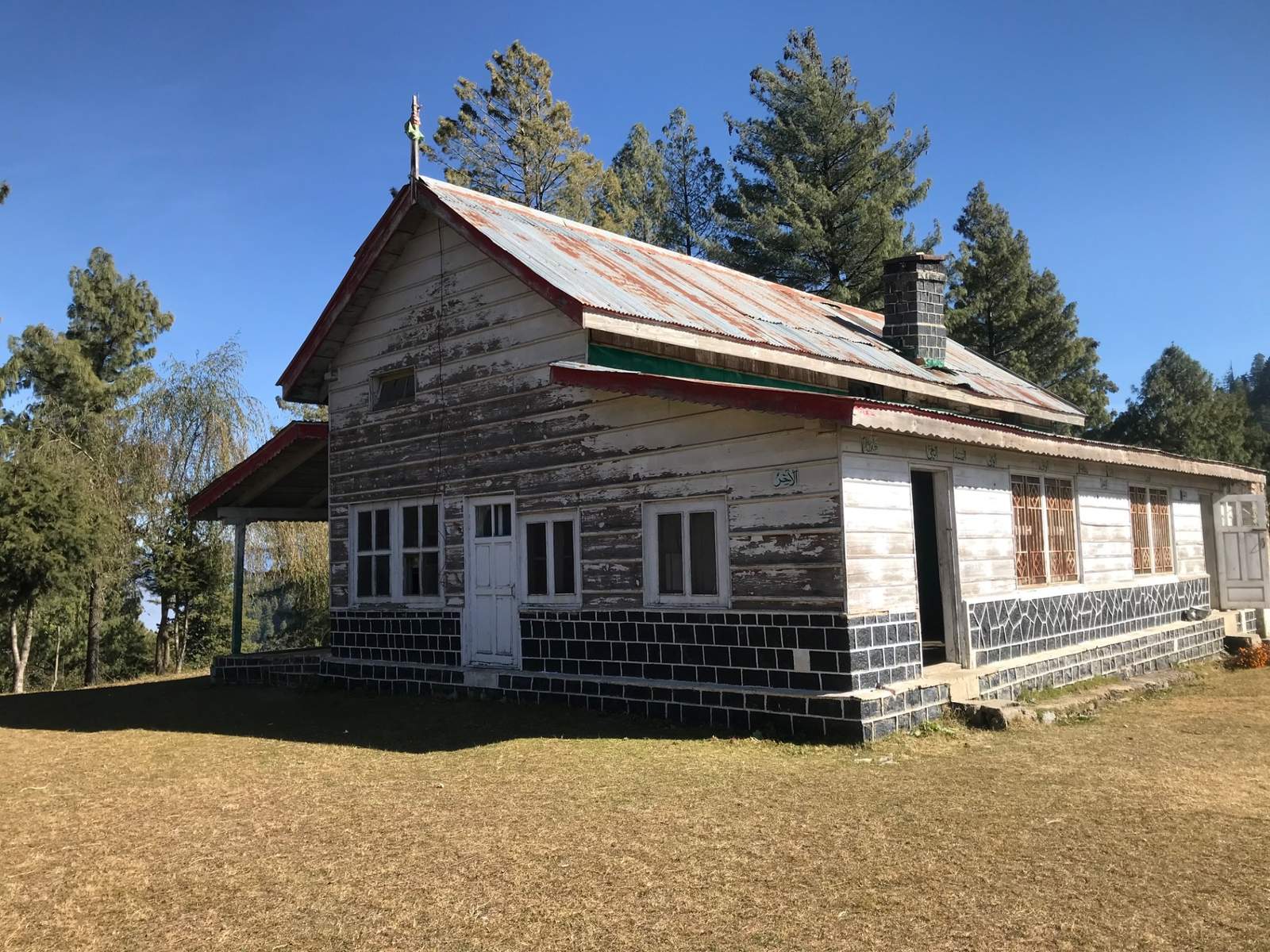 Sattu Bungalow among pine trees under a clear blue sky