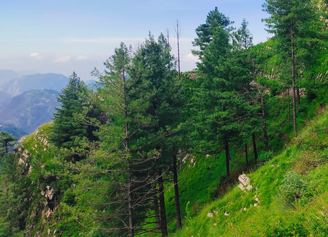 View over the valley from a grassy ridge